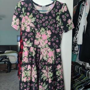 M Lularoe Amelia